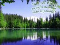 /album/fotogaleria/a0-jpg/