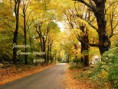 /album/fotogaleria/a13-jpg/