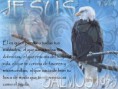 /album/fotogaleria/a77-jpg/