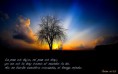 /album/fotogaleria/a765-jpg/
